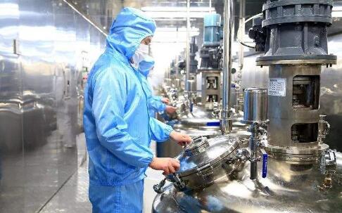 头部企业加速抢占高端显示市场