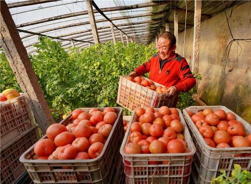 这些“三农”内容，让农民增收有了新“密码”