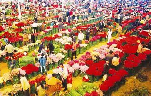 2000亿元、500万人……从“颜值”到产值 “美丽经济”激发消费新活力