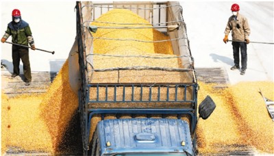 储备肉、储备菜、储备口罩等亮相 国家为你囤了哪些货？