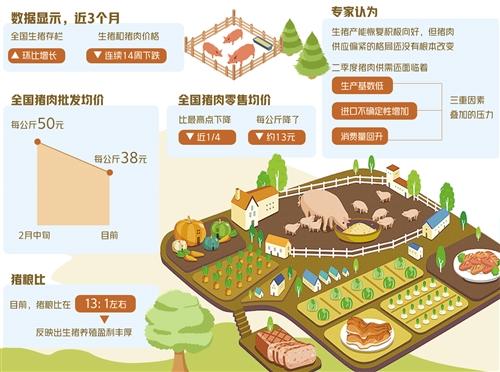 肉价连降 后市难再大涨