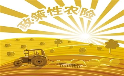 2022年我国农业保险为1.67亿户次农户提供风险保障5.46万亿元