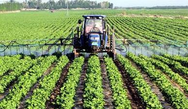 安徽宿州：乡村振兴装上“红色引擎”