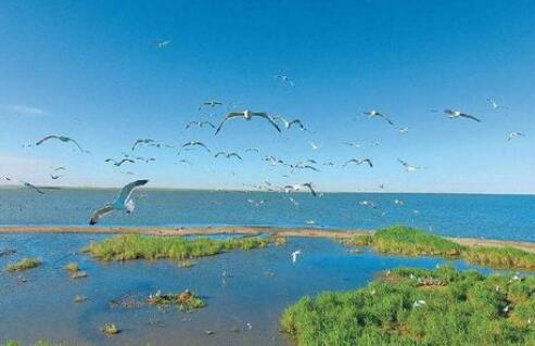 内蒙古出台条例为生态环境保护提供法治保障