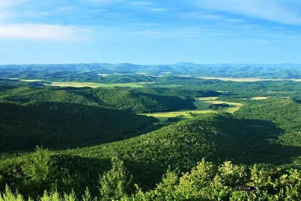 福建率先建设森林“四库”联动试点区