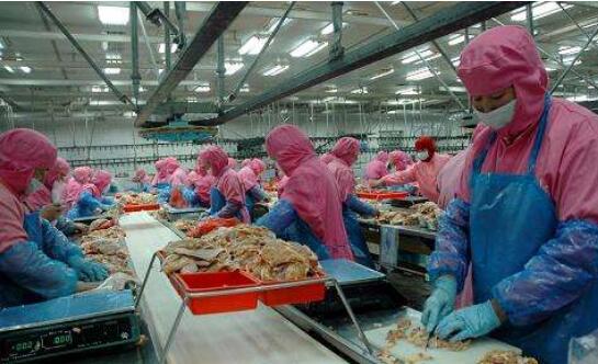 护“舌尖安全” 我国已发布食安国家标准1660项
