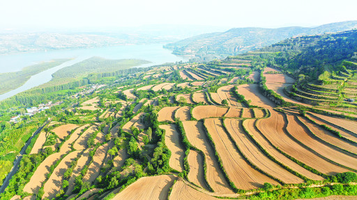 生态环境部：进一步完善生态环境法律法规体系