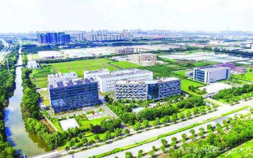 “大手”拉“小手”创新型产业集群建设加速