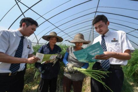 加强现代农事综合服务中心建设 推动健全便捷高效的农业社会化服务体系