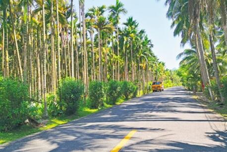 司法部、交通运输部负责人就《农村公路条例》答记者问
