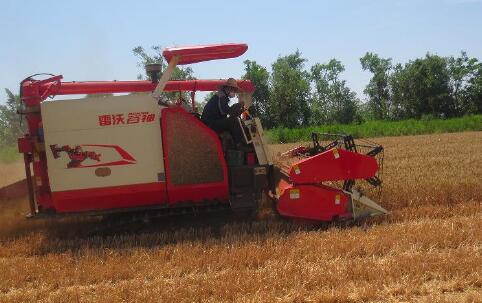 潍柴雷沃：以硬核科技守望“大国丰景”