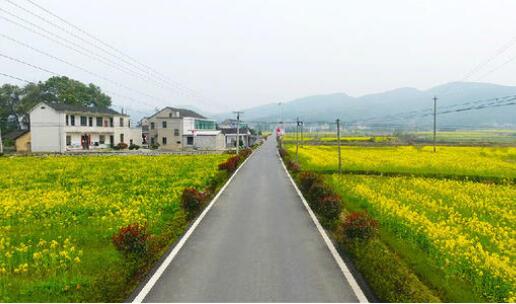 政策支持力度加大 乡村建设驶入“快车道”