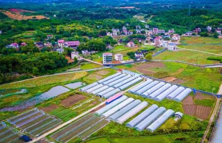 河南2026年年底前实现乡村地区规划管理全覆盖