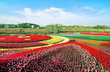 农业农村部发布60条春季精品线路、189个精品景点