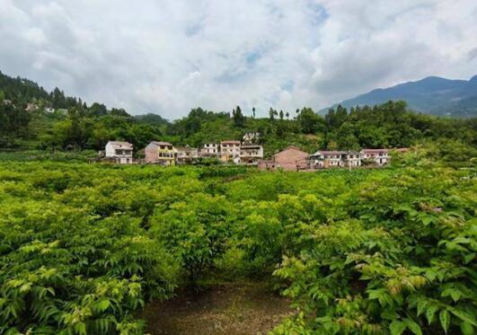 河北多措并举防止因灾返贫致贫