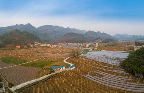 预防返贫，贵州这么干!