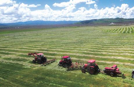 四川推进草原保护与产业发展