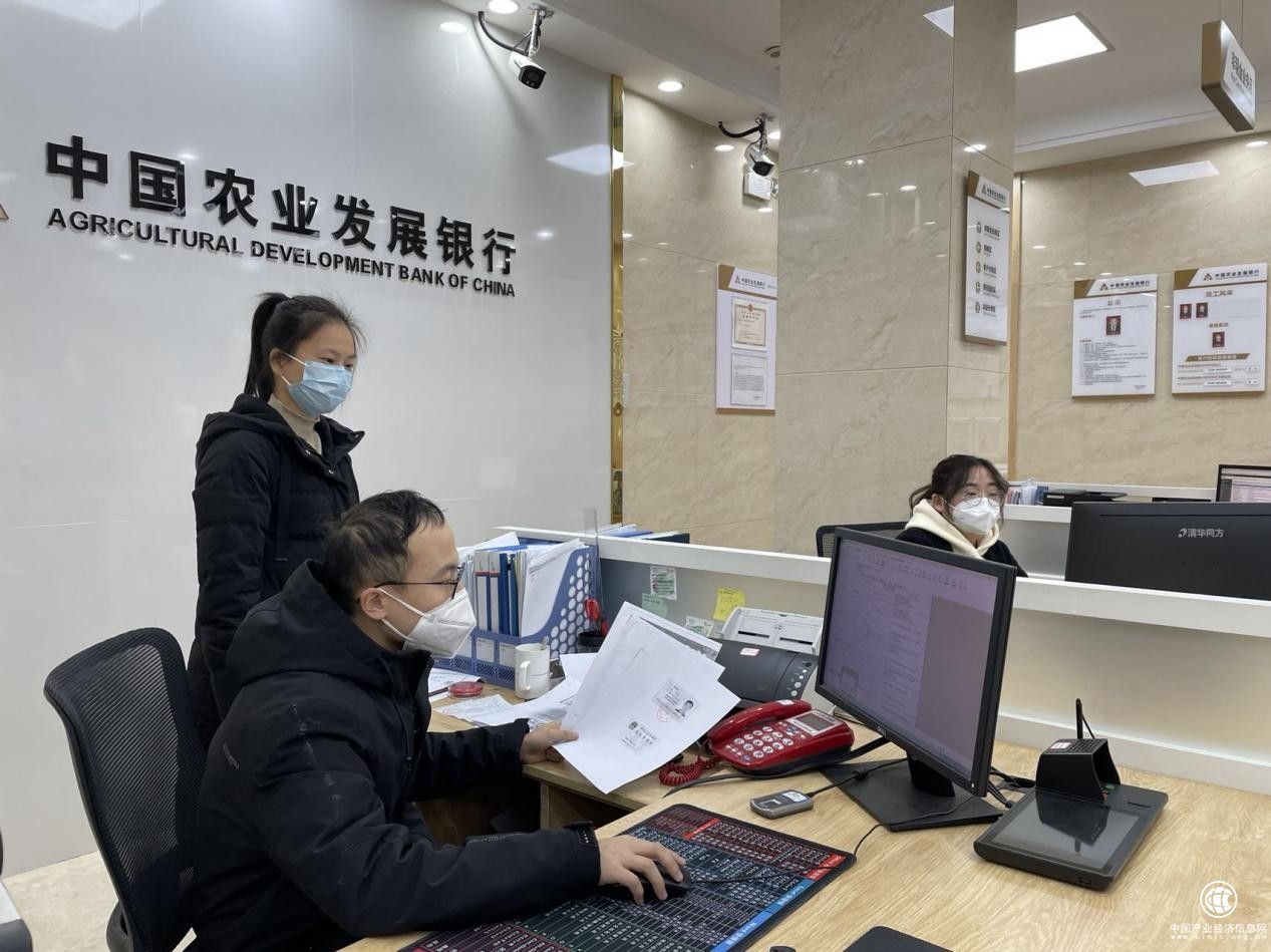 农发行津市市支行多措并举打好年终决算“收官战”