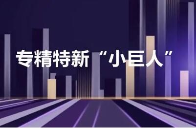 第五批专精特新“小巨人”企业培育启动