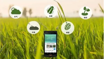 聚焦产业发展拓宽增收路径 兴村富民 他们各有高招