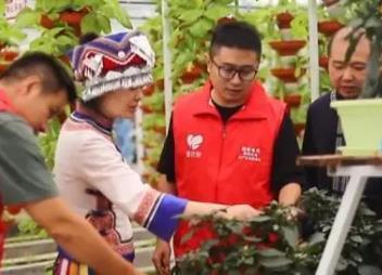 线上线下齐发力 第二届“央企消费帮扶兴农周”启动