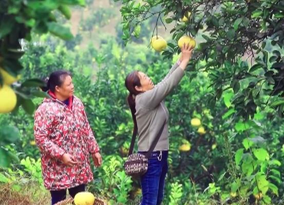 乡村振兴阔步前行正当时 群众腰包越来越鼓、生活越来越好