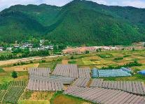 四川通过这4种模式拉着村集体经济“加速跑”