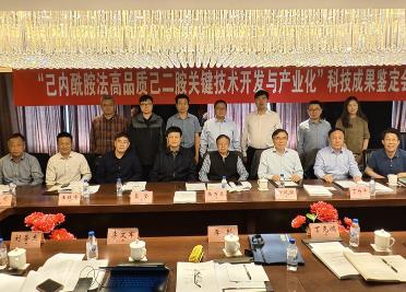 己内酰胺法高品质己二胺技术国际领先