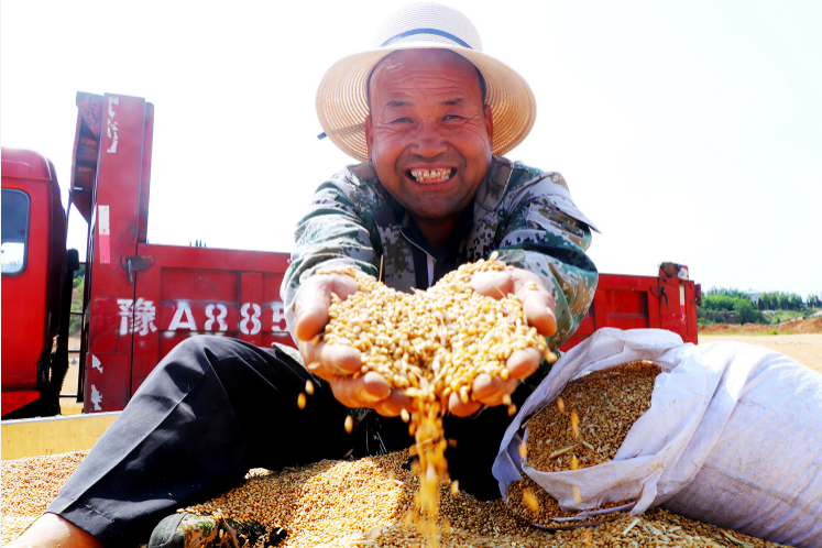 20240703102702405.png 20240703102702405.png