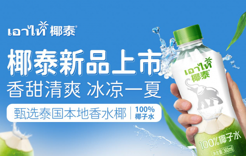 2024年椰子水增速再翻倍，椰泰乘胜再推100%椰子水