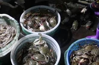 新年尝“鲜” 2025年第一波海鲜上市丰富消费市场