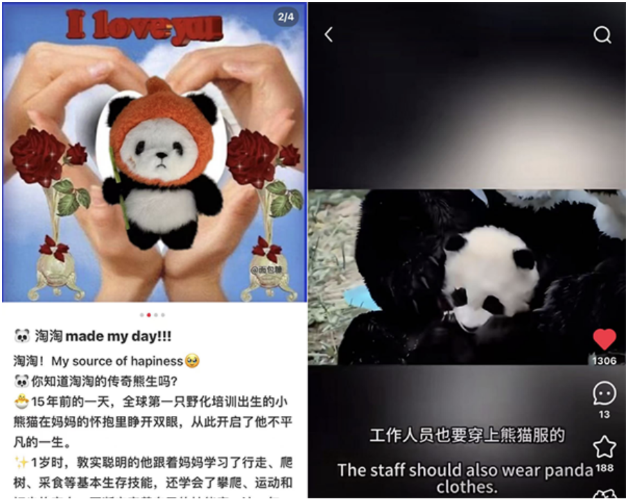 20250122155016794.png