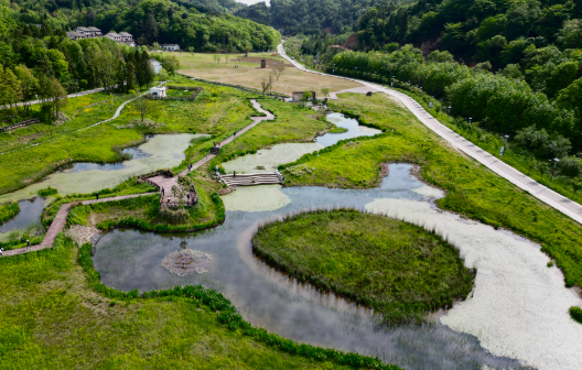 四川基本建成湿地保护网络体系