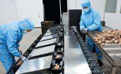 拥抱新“食”代，聚力深加工闯荡大市场