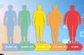 国家版减肥指南来了！权威食谱，细化到地区