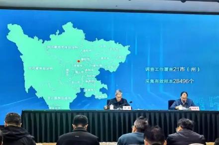 四川：2024年消费者满意度总指数85.07分 创十年新高