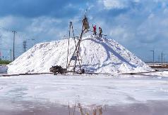 2月份我国原盐市场偏弱运行