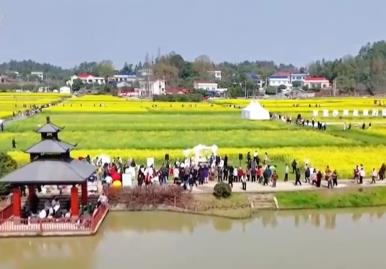 繁花竞放催热“春日经济” 多地围绕“春景产业”深耕文旅市场