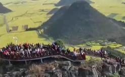 从“春日限定”到“四季长青” “花”文旅融合为乡村振兴“增色添香”