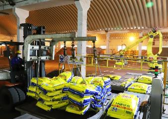 河南：化肥企业“火力”全开“喂饱”农田