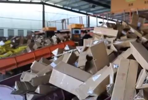 春日鲜花“春运”忙：科技助力鲜花运输 “流动花园”物流效率提升