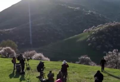 “赏花经济”持续释放消费潜力 绘就“花开中国”的繁荣图景