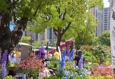 以花为媒、以科创为引擎 城市空间消费新业态上“新”引领文化新风尚