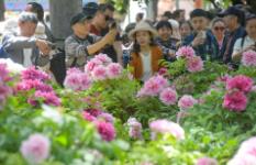 “鲜花+”引领消费新风尚