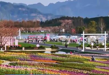 “以旧换新+数智技术”提升乡村消费热度 乡村全面振兴绘就活力画卷