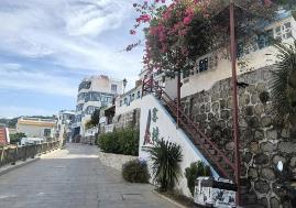 从田园到网红，广东乡村逆袭记