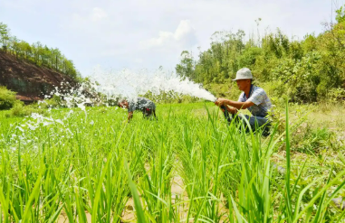 打好抗旱主动仗 助农稳产保丰收——多地抗旱保农一线观察