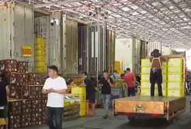 物流升级助推进口水果贸易：东南亚水果更快更新鲜