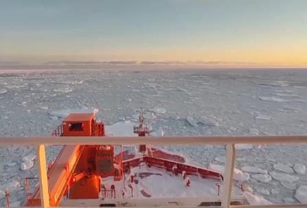 涉及海冰研究、海洋生物等 我国南极科考有了新发现