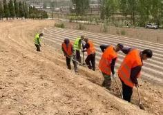 山西寿阳：精品廊带铺就致富路 乡村振兴迈向新高度